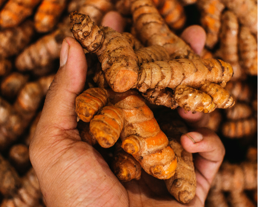 Terrific Turmeric: the 4 Best Ways to Use the King of Herbs, According to My Grandmother
