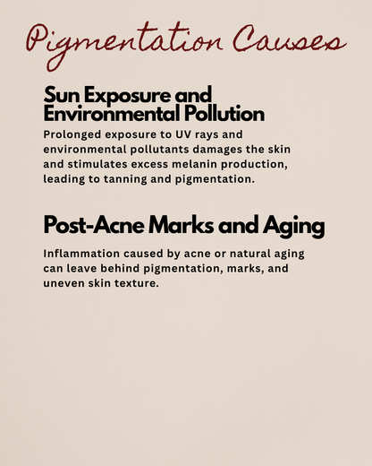 Lepanam - Facepack for reducing Pigmentation | Tan