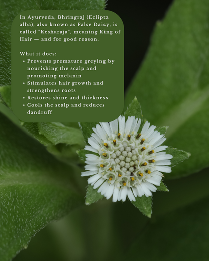 Bhringraj & Black Sesame Hair Oil