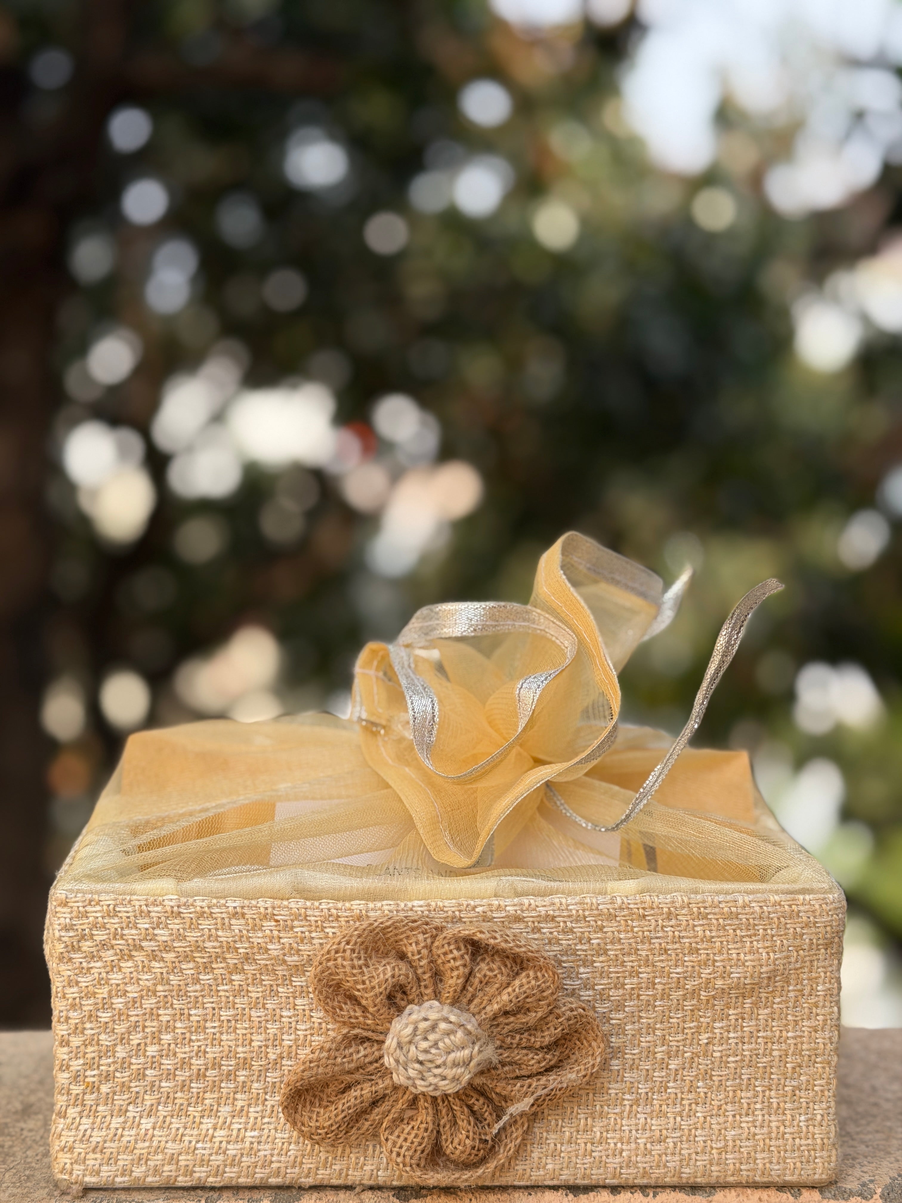 Prakriti Saundarya Gift Set – PLANTS AND PEOPLE
