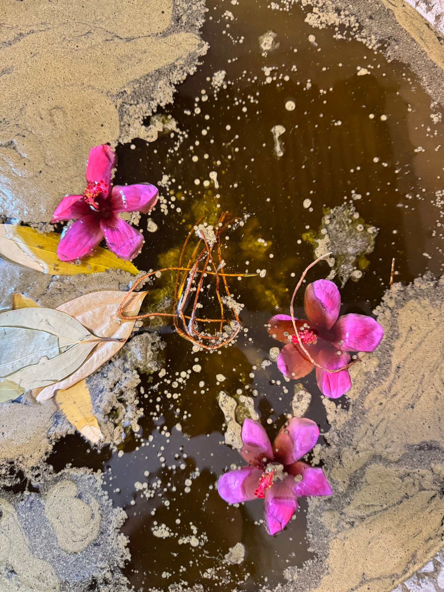 Amla & Curry Hair Oil