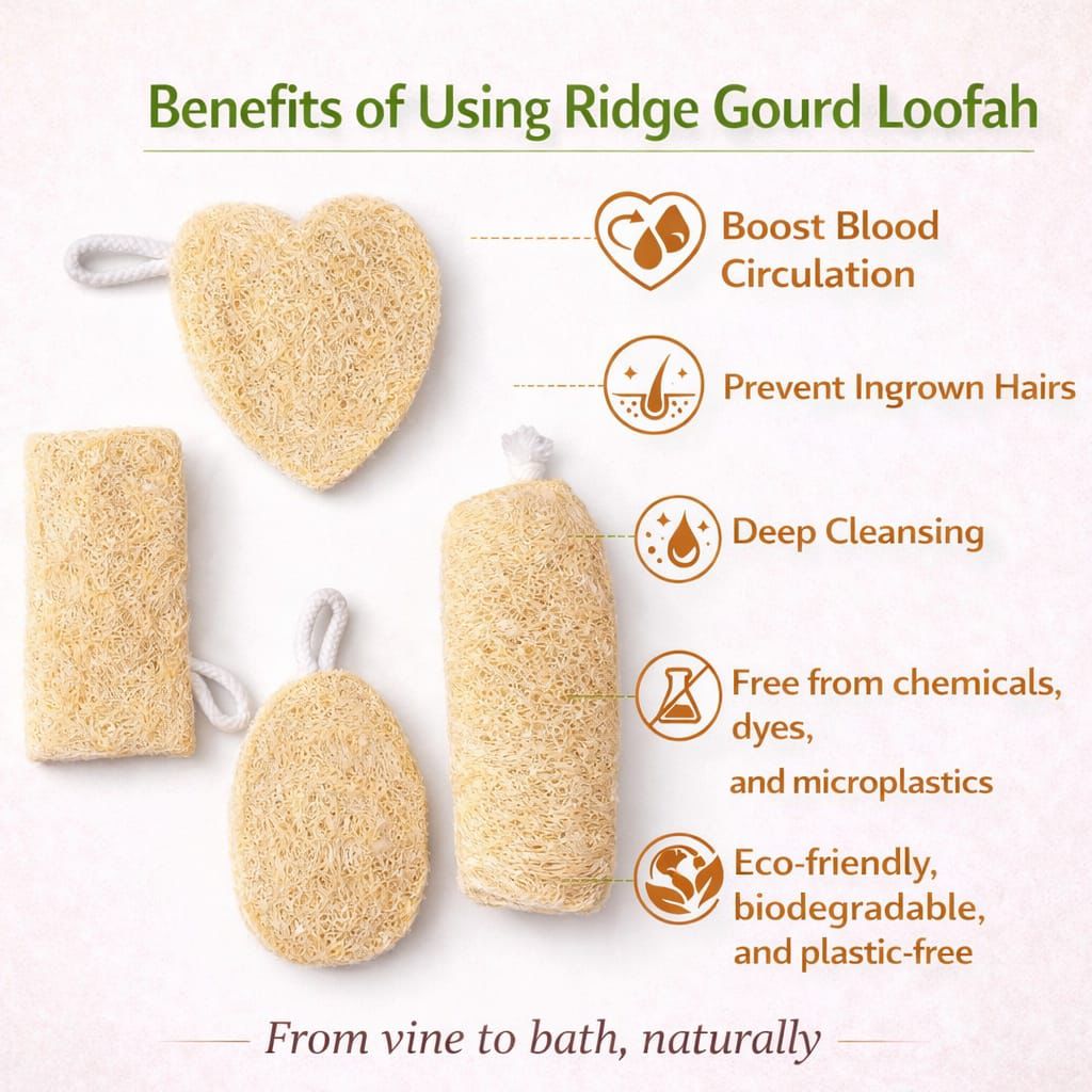 Natural Loofah